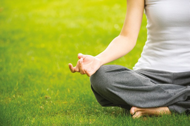 Meditation/Yoga Lawn